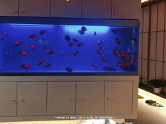 -宫七SPA·高端Massage(浦东大道店)