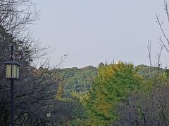 -苏州上方山国家森林公园