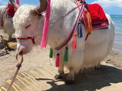 -青海湖国家重点风景名胜区