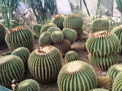 -北京植物园-展览温室