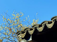 -虞山风景区
