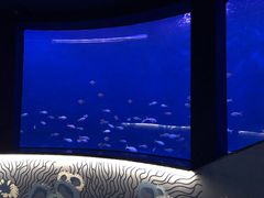 -沈阳海洋探索中心