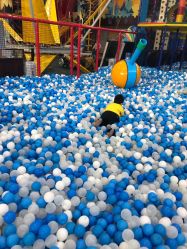 -爱丽丝奇幻乐园