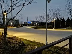 -南汇新城城市公园