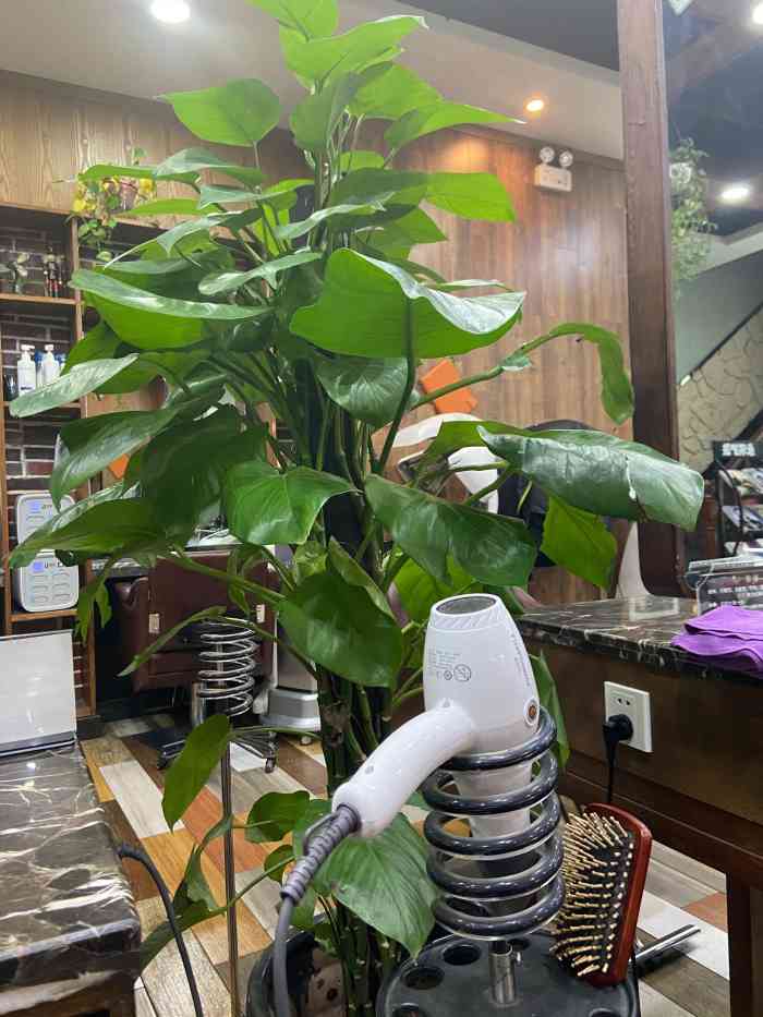 永琪美容美发(万达店)-"【项目】烫发过年了,考虑做个头发,全家.
