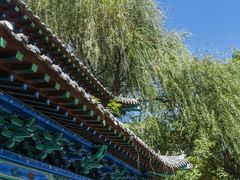 -济南国际园博园