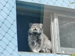 -青藏高原野生动物园