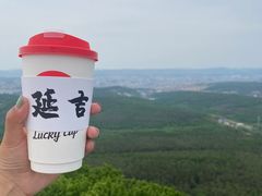 -帽儿山国家森林公园