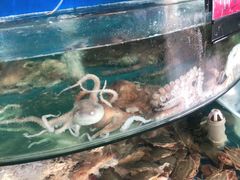 水产区-蓝珊甄选海鲜自助·火锅大排档(近阿那亚店)