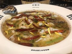 老坛酸菜鲈鱼-渔语鱼新川菜Bistro(万象天地店)