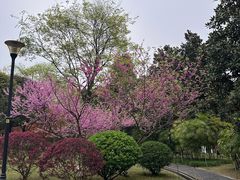 -龙头寺公园