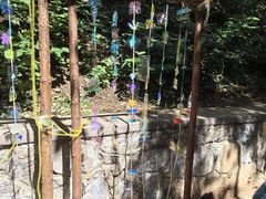 -北京西山国家森林公园