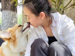 -J Create城市露营咖啡·简餐·宠物(上海动物园店)