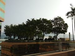 -九龙公园