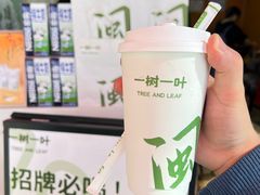 -一树一叶·福建茶档(石鼓路店)