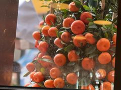 -吴系粤菜馆·茶餐厅(深业上城店)