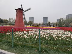 -大宁公园