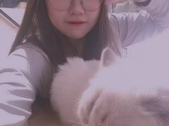 -瞄一喵猫咖(格力海岸店)