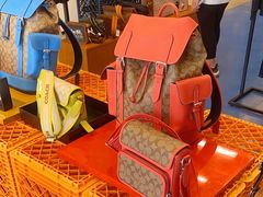 -COACH蔻驰(赛特奥特莱斯店)