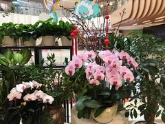 -THE hood开新里(御桥路店)