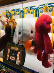 -嗨翻Hi-Fun竞技主题乐园·蹦床团建生日聚会(五棵松华熙店)