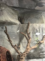 -Zoolung Zoolung动物主题公园(海信广场店)