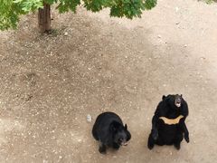 -石家庄市动物园