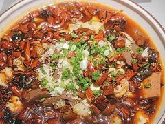 -蜀龙阁· 龍头水煮鱼(天坛店)
