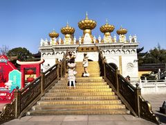 -上海东林寺(金山区)