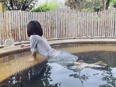 -大连金石滩绿发温泉假日酒店