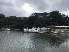 -三鹰之森吉卜力美术馆