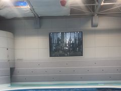 -鹿儿岛水族馆