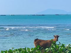 -三亚西岛海洋文化旅游区