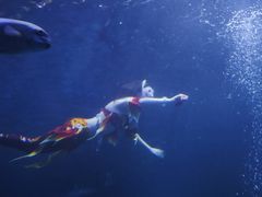 -太平洋海底世界