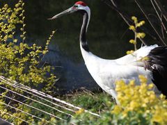 -沈阳森林动物园