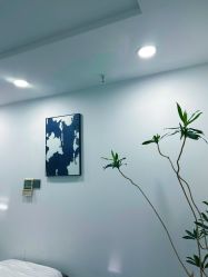 -张小野·专业半永久纹眉