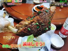 -杨正宗烤全羊(北二环店)