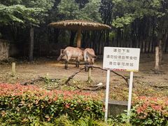 -常州淹城野生动物世界