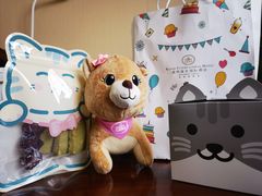 -惠州康帝国际酒店