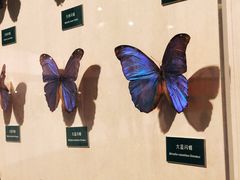 -陕西自然博物馆