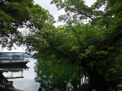 -广州市流溪河国家森林公园