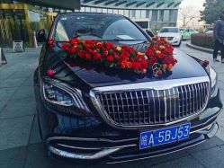 -蚂蚁婚车