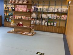 -萌兽医馆·犬猫专科·眼科中心·宠物医院(朝阳门分院)
