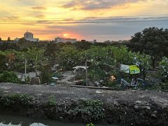 -伟记牛蹄(道滘店)