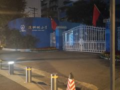 -泡桐树街