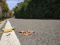 -贵阳市花溪国家城市湿地公园