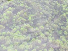 -靖西鹅泉风景区