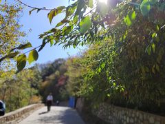 -北京西山国家森林公园