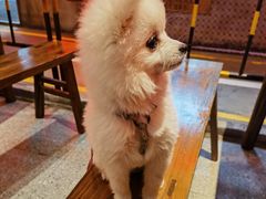 -万达文华酒店·48F云端窗景美食汇自助餐厅