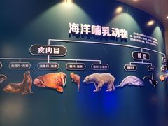 -青岛海底世界-水族馆
